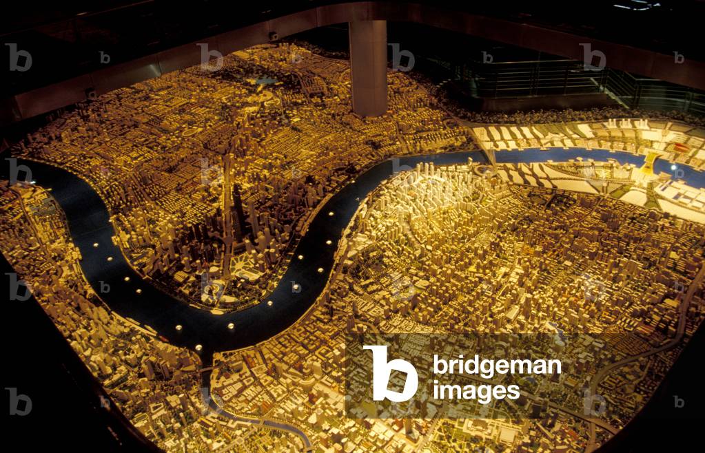 Shanghai relief map, Shanghai, China, Asia