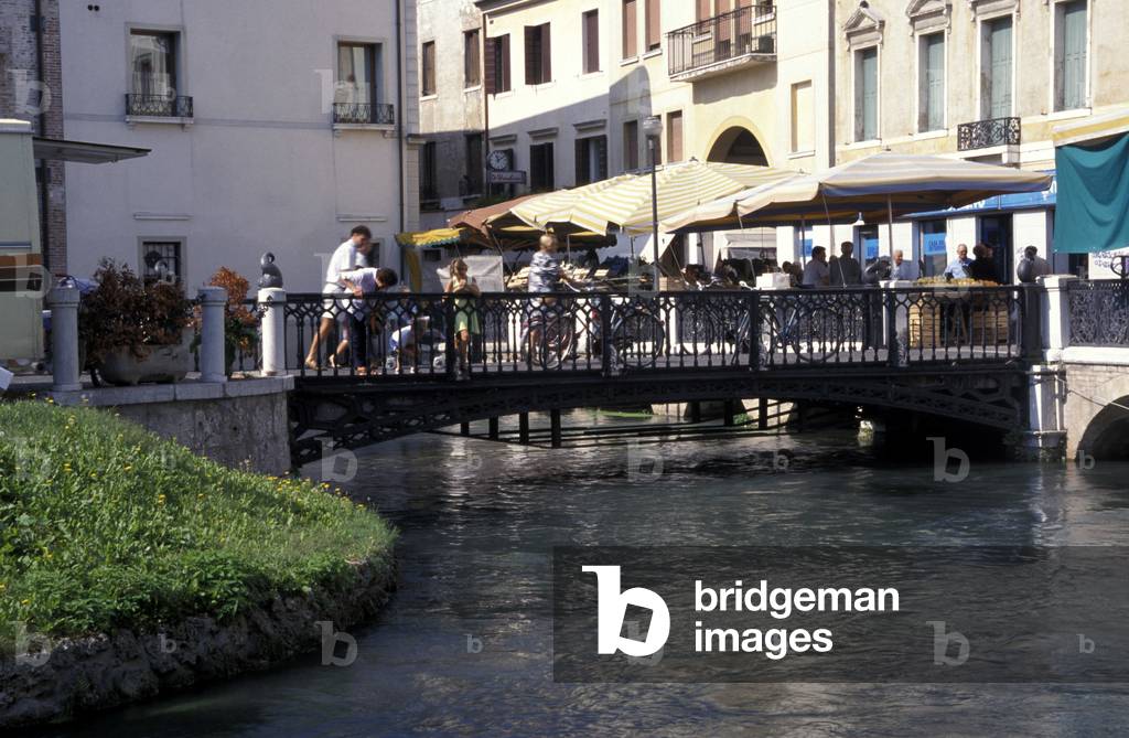 Sire river, Treviso, Veneto, Italy