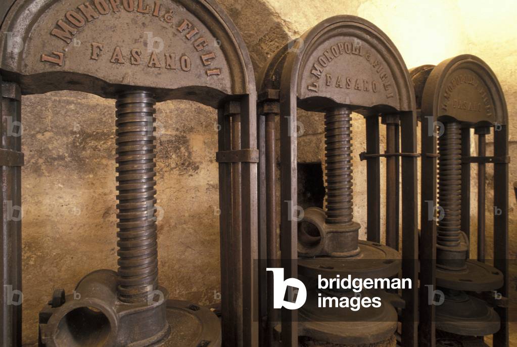 Oil museum, Fasano, Puglia, Italy