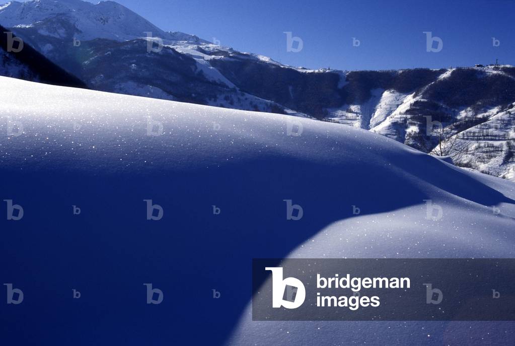 Immagine di Fotografia "Paesaggio", b/w