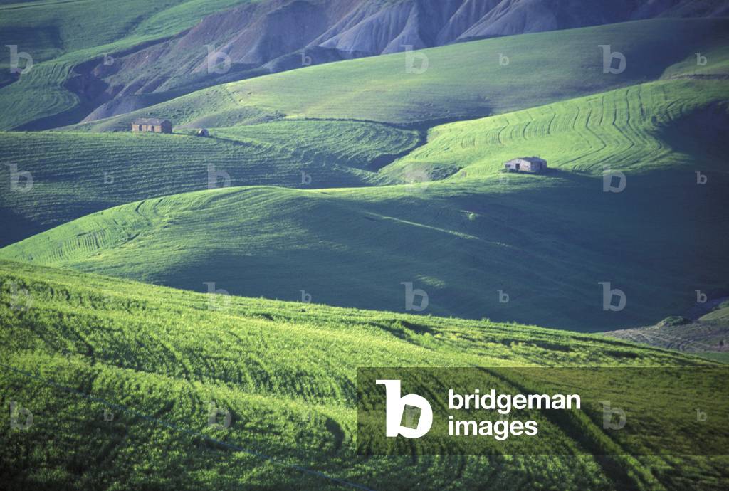 Landscape, Piana di Catania, Sicily, Italy