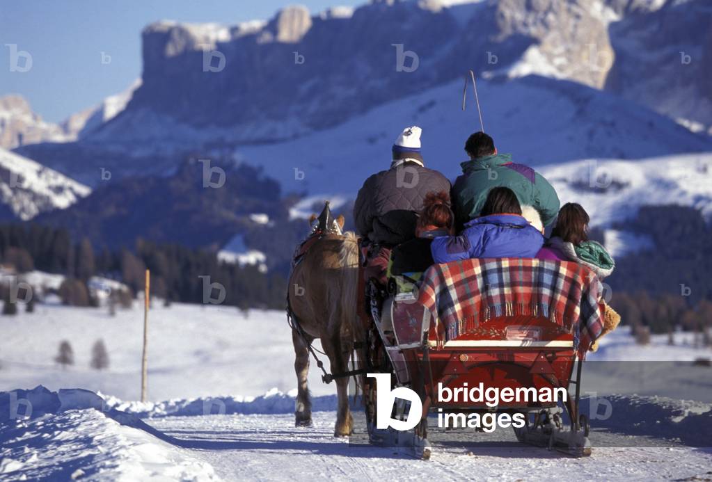 Alpe di Siusi, Siusi, Trentino Alto Adige, Italy