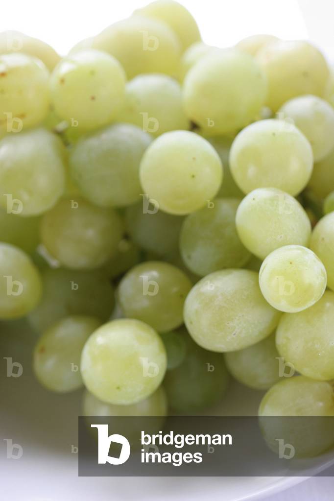 Grape, Italy