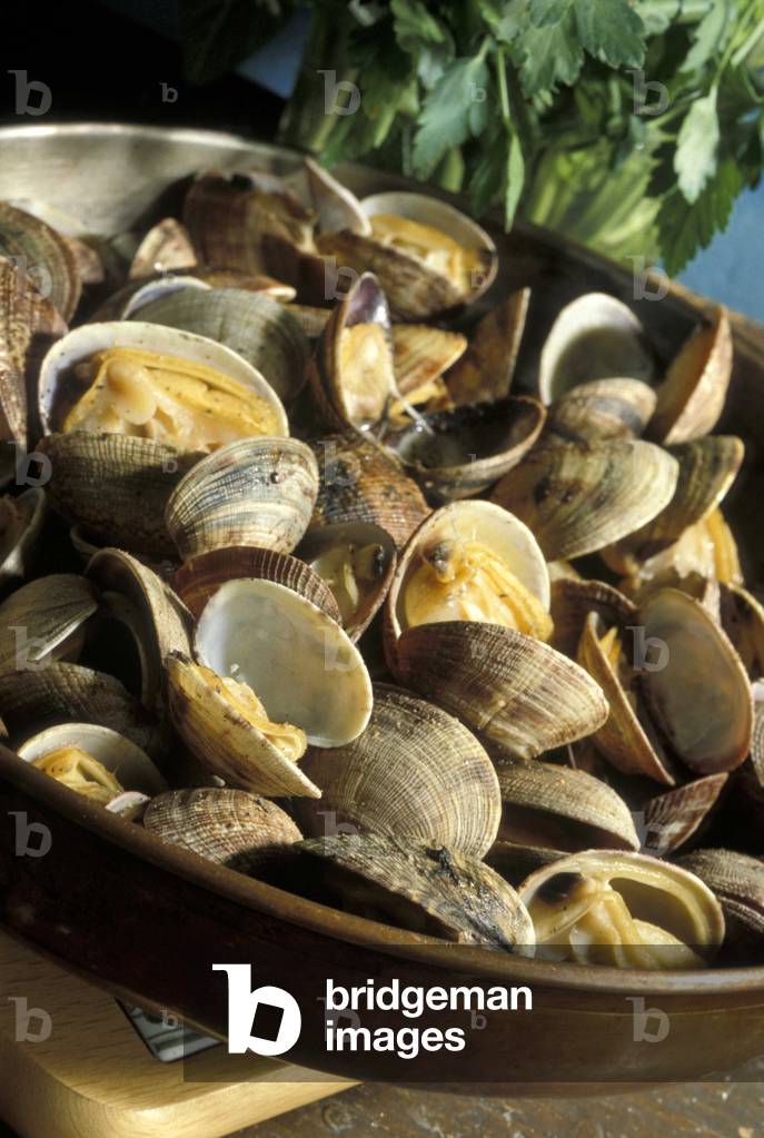 Clams, Italy