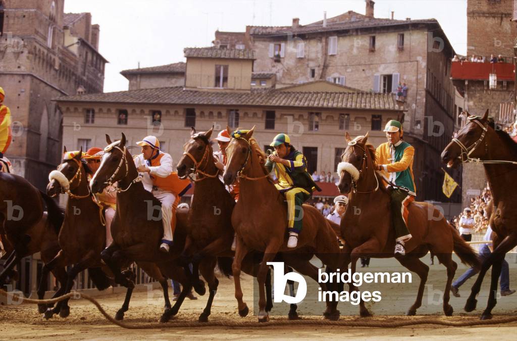 Immagine di Fotografia "Iniziare il Palio con la ""Mossa"""