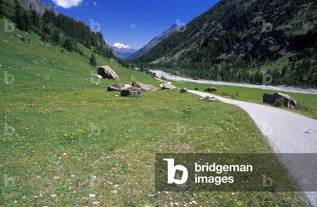 Landscape, Trentino Alto-Adige, Italy