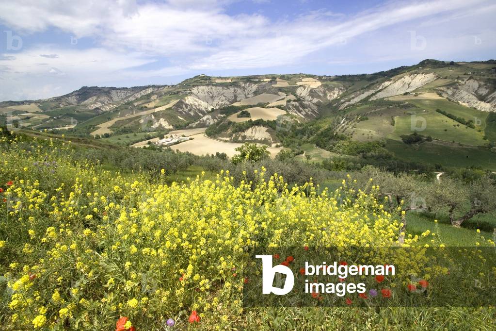 Hills near Calanchi nature reserve, Atri, Abruzzo, Italy