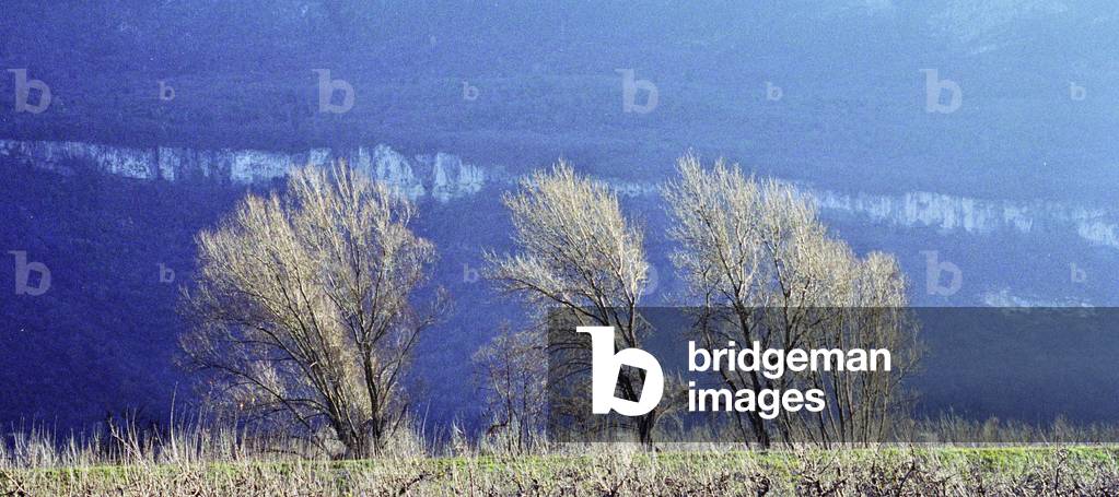 Winter, Bressanone, Alto Adige, Italy