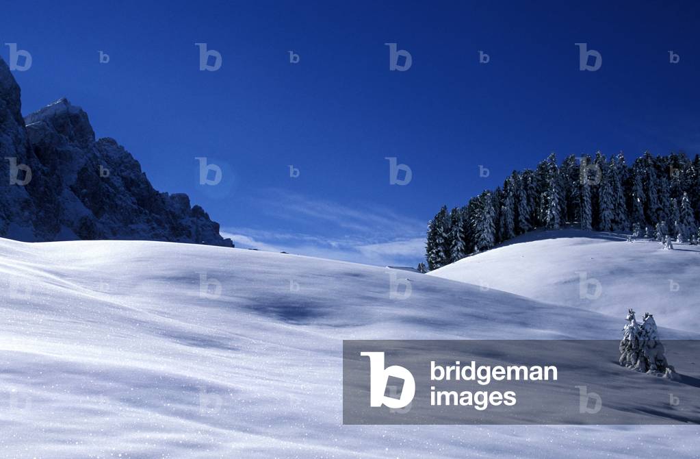 Odle mountains, Val di Funes, Trentino Alto Adige, Italy.