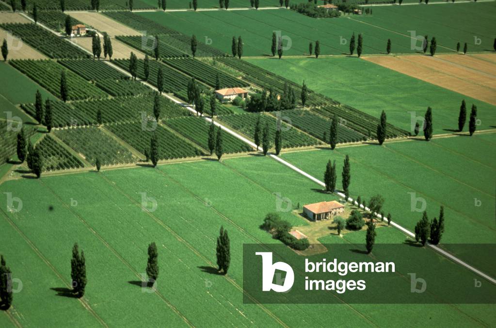 Countryside, Ferrara, Emilia Romagna, Italy