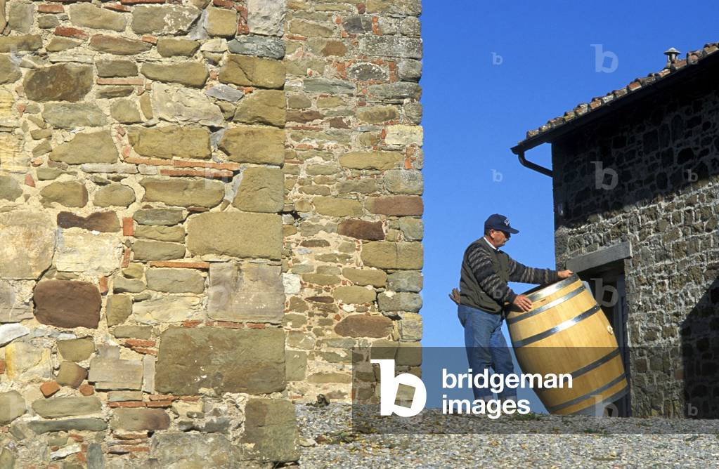 Capacity farm, Radda del Chianti, Tuscany, Italy