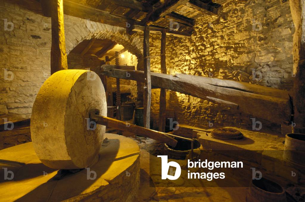 Antique crusher, Ortodonico, Parco Nazionale del Cilento e Vallo di Diano, Campania, Italy.