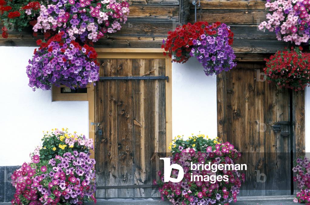 Flower pot with petunias in front of an entrance