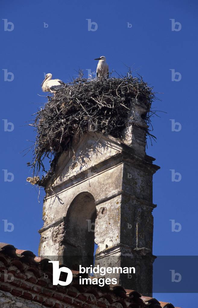 Monasterio Rocamador hotel (ex Franciscan monastery), Almendral, Extremadura region, Spain, Europe
