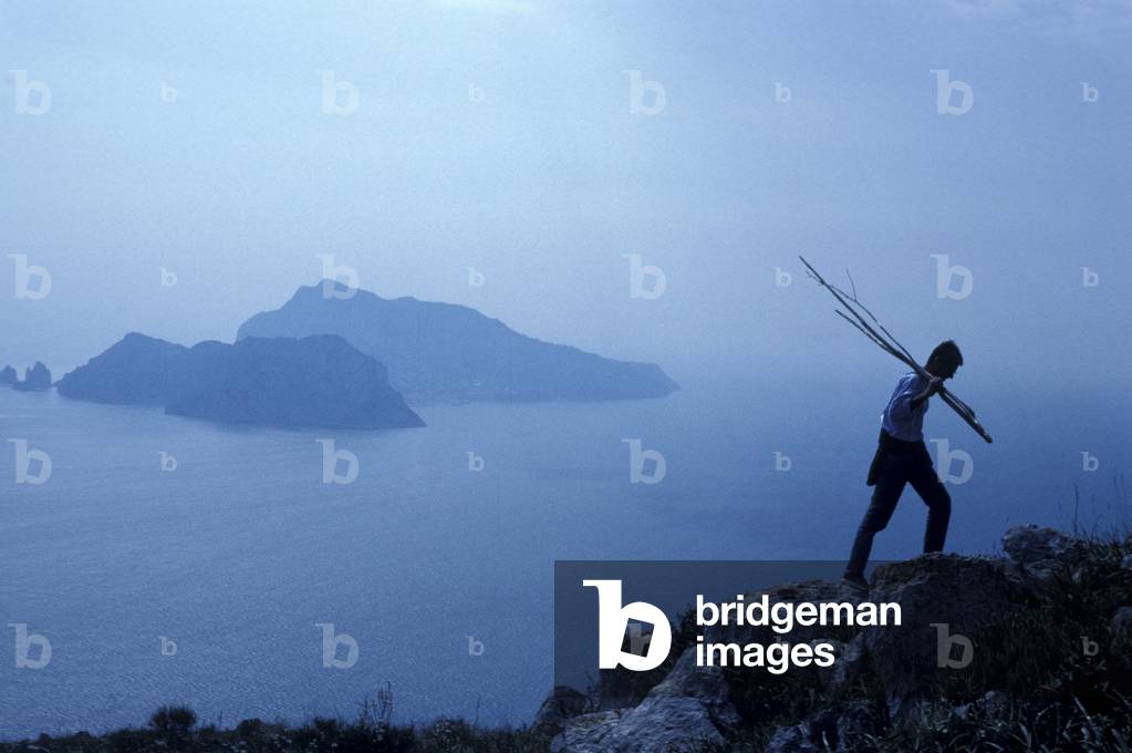 View of Capri, Sorrento, Campania, Italy