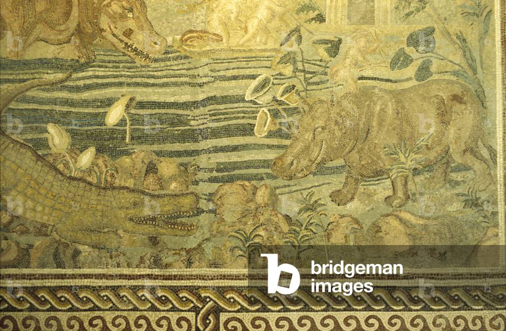 Palazzo Massimo alle Terme, Rome, Lazio, Italy