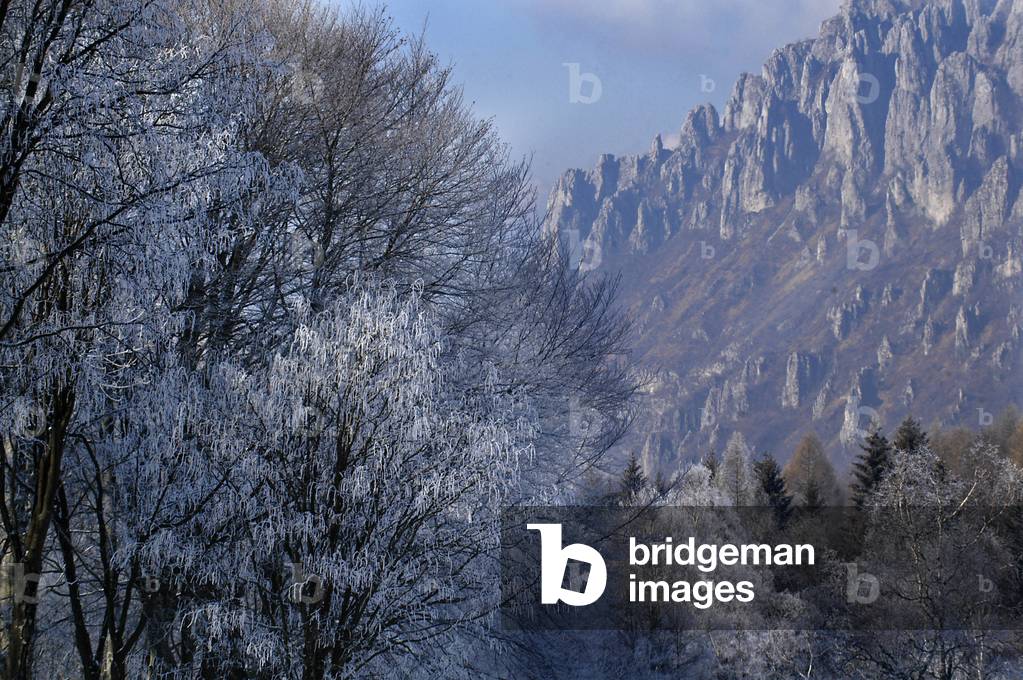 Landscape, Piani Resinelli, Lombardy, Italy