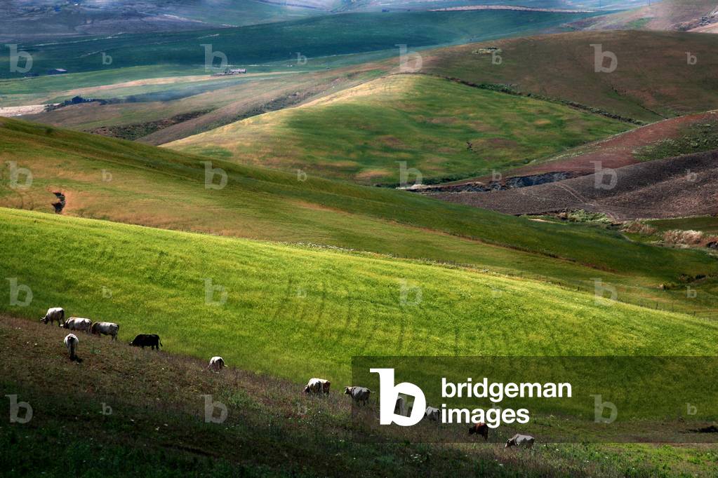 Countryside near Agira, Sicily, Italy