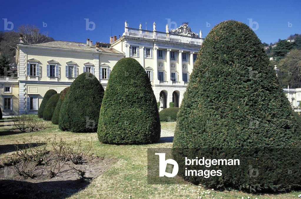 Taxus Baccata, Villa Olmo, Como, Lombardy, Italy