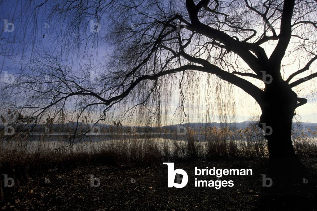 Lake, Varese, Lombardy, Italy.