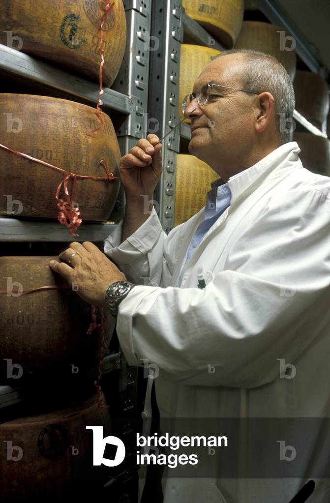 Carlo Fiori tasting cheese dealer, Guffanti cheese, Arona, Piedmont, Italy.