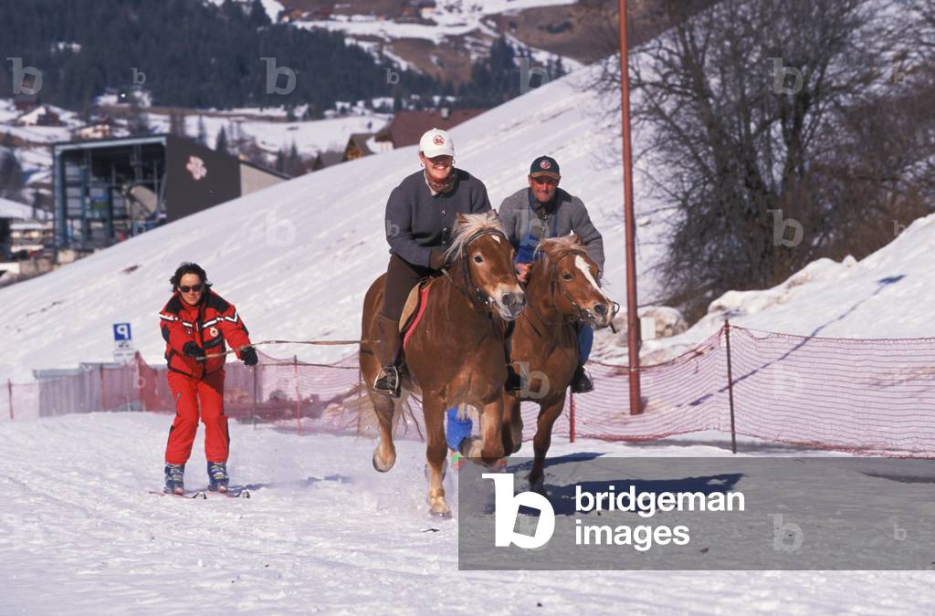 Skikjoring, Alta Badia, Trentino Alto Adige, Italy