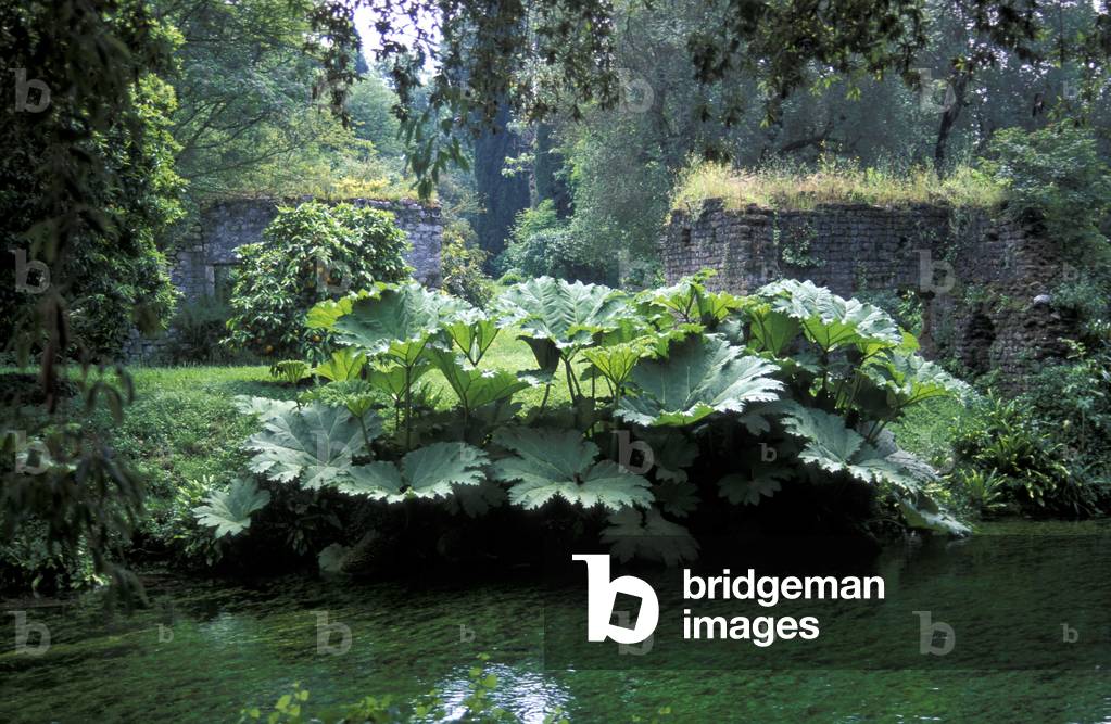 Garden of Ninfa, Doganella di Ninfa, Latina, Lazio, Italy.