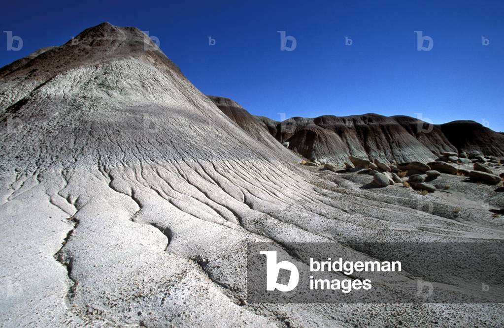 Petrified Forest national park, Arizona, United States of America, North America