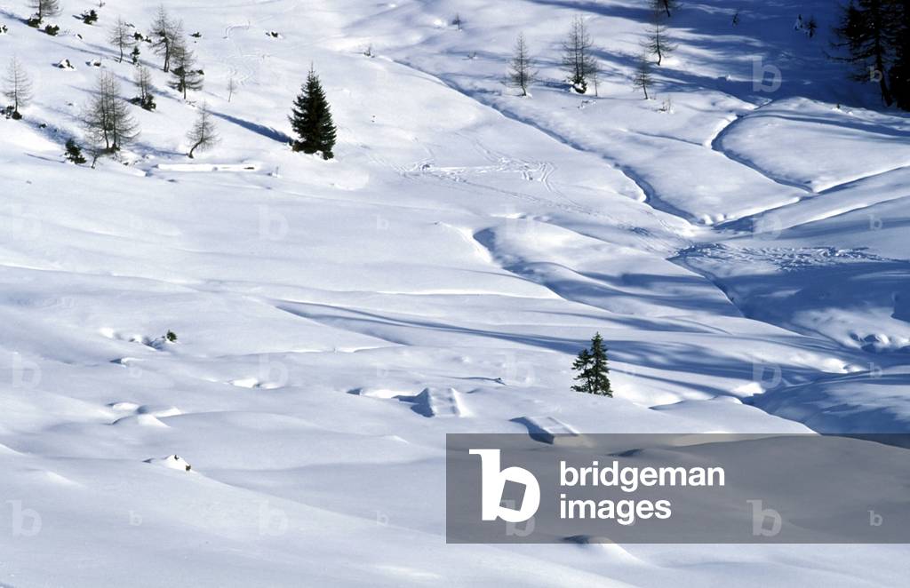 Landscape, Val Badia, Dolomiti mountain, Trentino Alto Adige, Italy