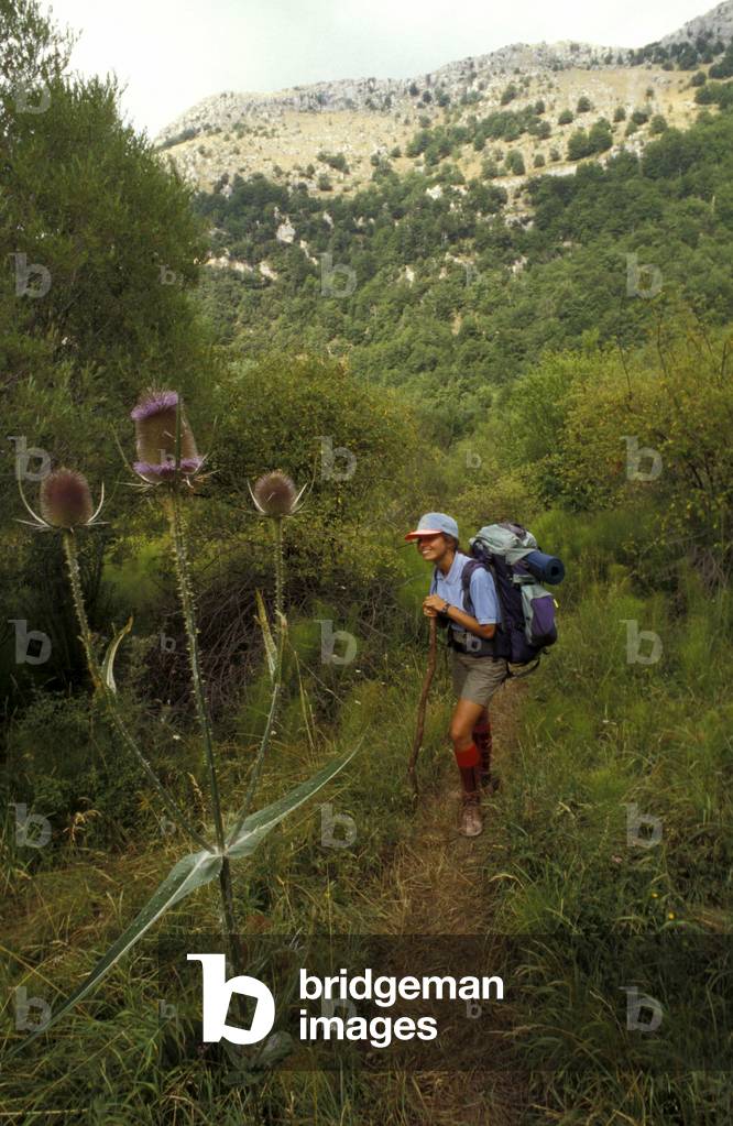 Towards Madonna del Pollino, Pollino, Calabria, Italy