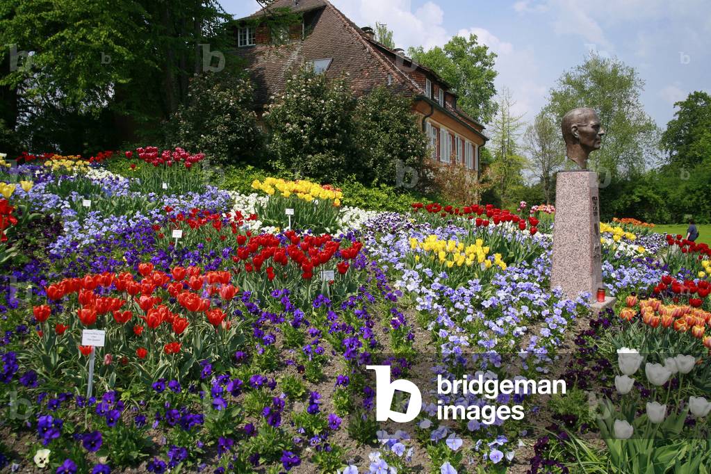 Tulips and pansies, Insel Mainau, Germany