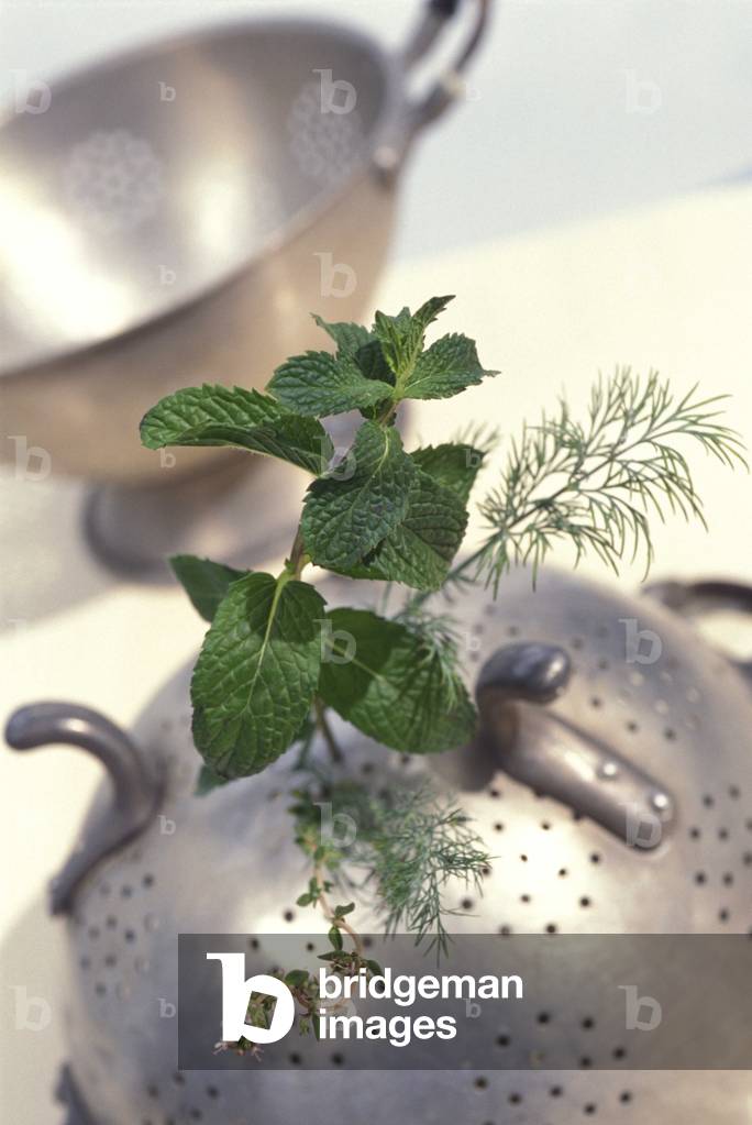 Mint, Italy
