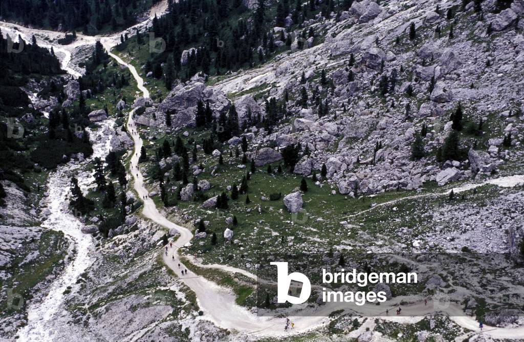 Torri del Vajolet, Val di Fassa, Trentino Alto-Adige, Italy
