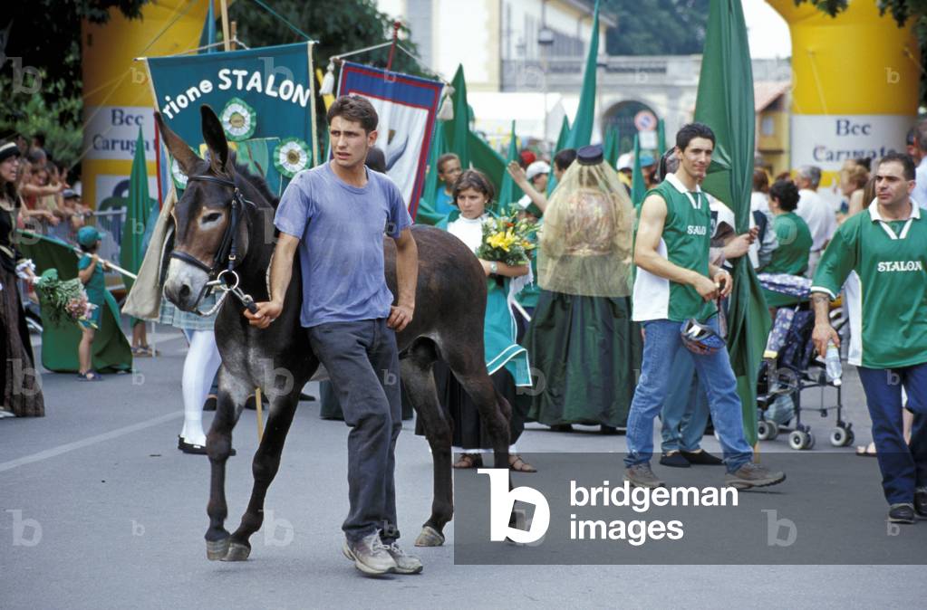 Omate donkeys palio, Omate, Agrate Brianza, Lombardy, Italy