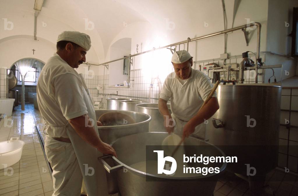 Spinning of the mozzarella di bufala, Italy