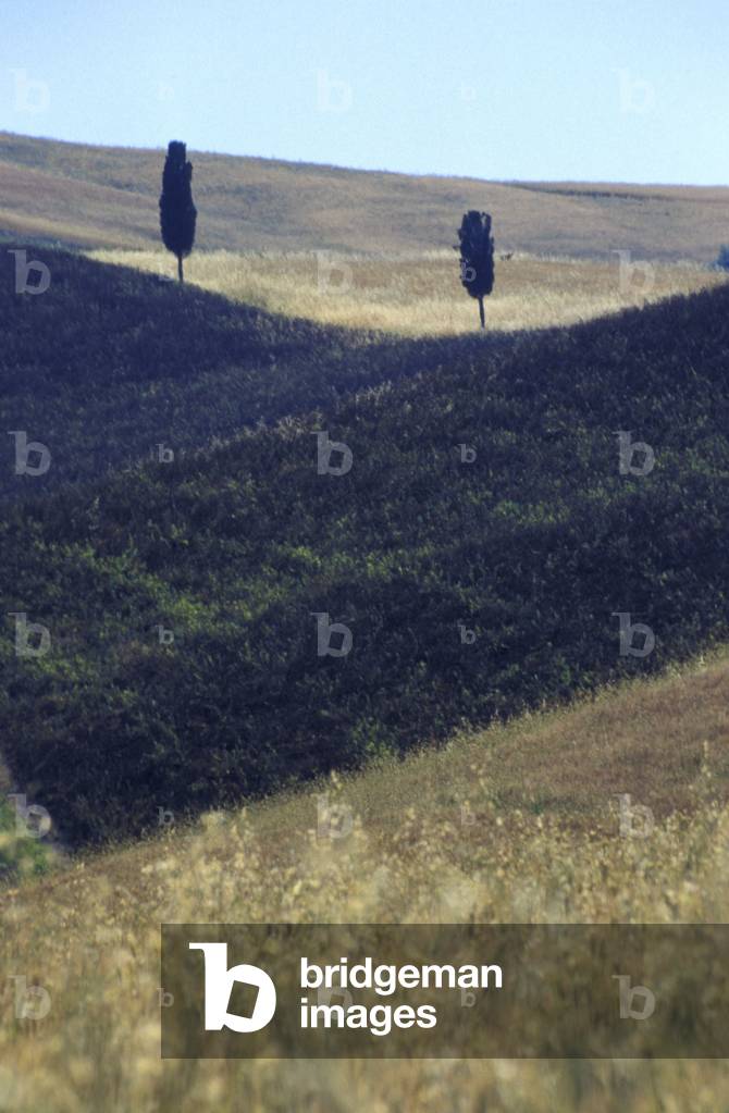 Landscape, Siennese country, Tuscany, Italy.