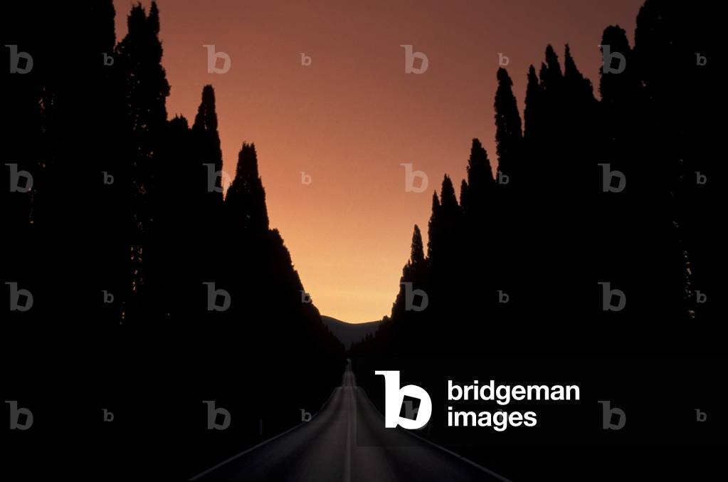Sunset over cypresses, Tuscany, Italy