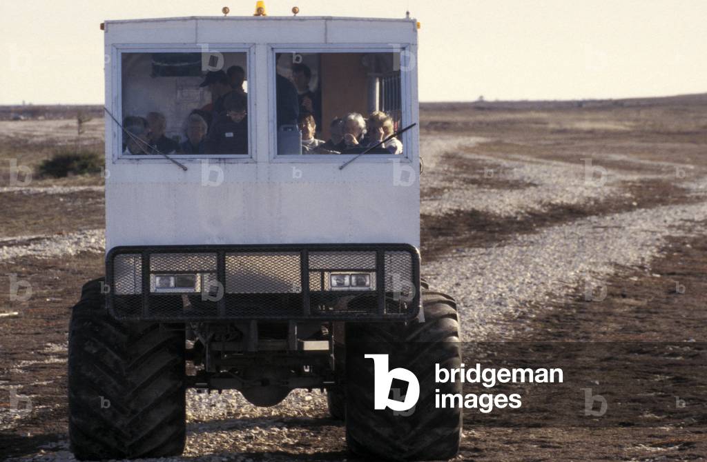 Tundra Buggy, Churchill, Manitoba, Canada, North America