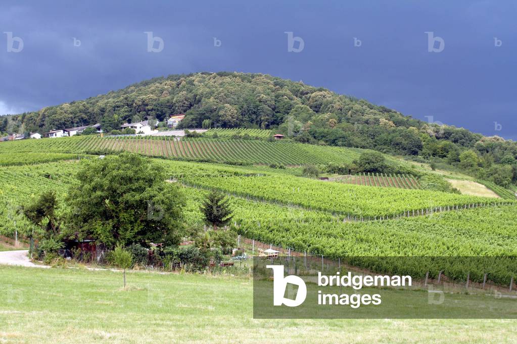 Pleisweiler, Reinland-Palatinate, Germany, Europe