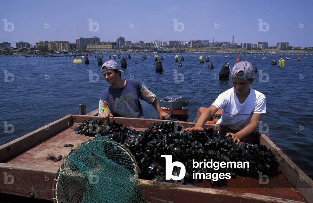 Mussel farming, Taranto, Puglia, Italy