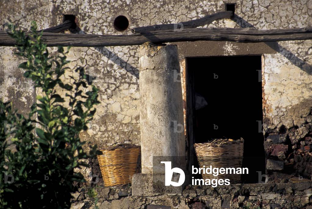 Salina island, Trapani, Sicily, Italy