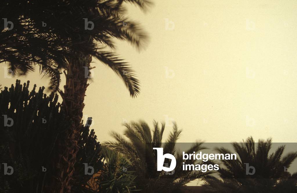 Desert storm, Erfud, Morocco, Africa