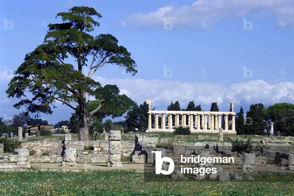 Archaeological area, Paestum, Campania, Italy