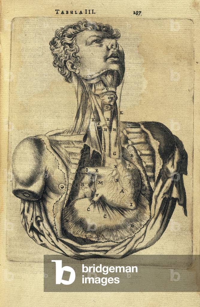 BARTHOLIN, Thomas (1616-1680). Danish physician, mathematician, and theologian. He is best known for his work 