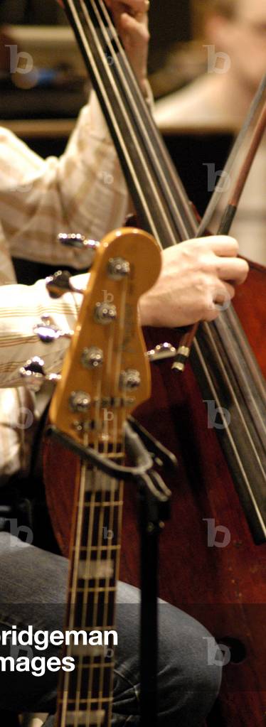 Double bass, bass guitar
