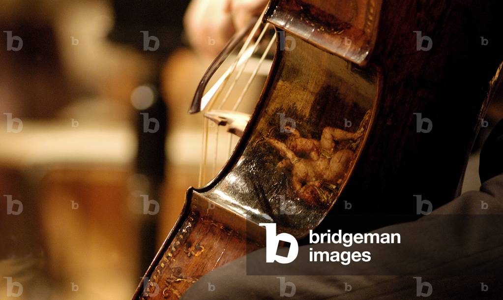 Violoncello