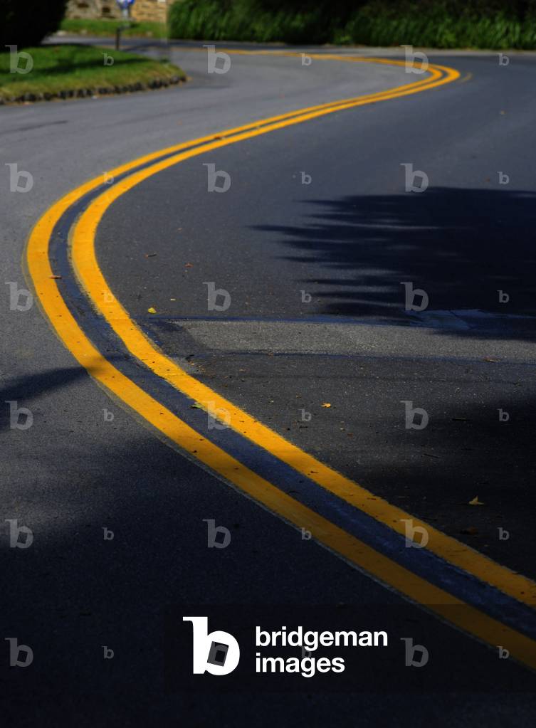 Double yellow line, USA (photo)