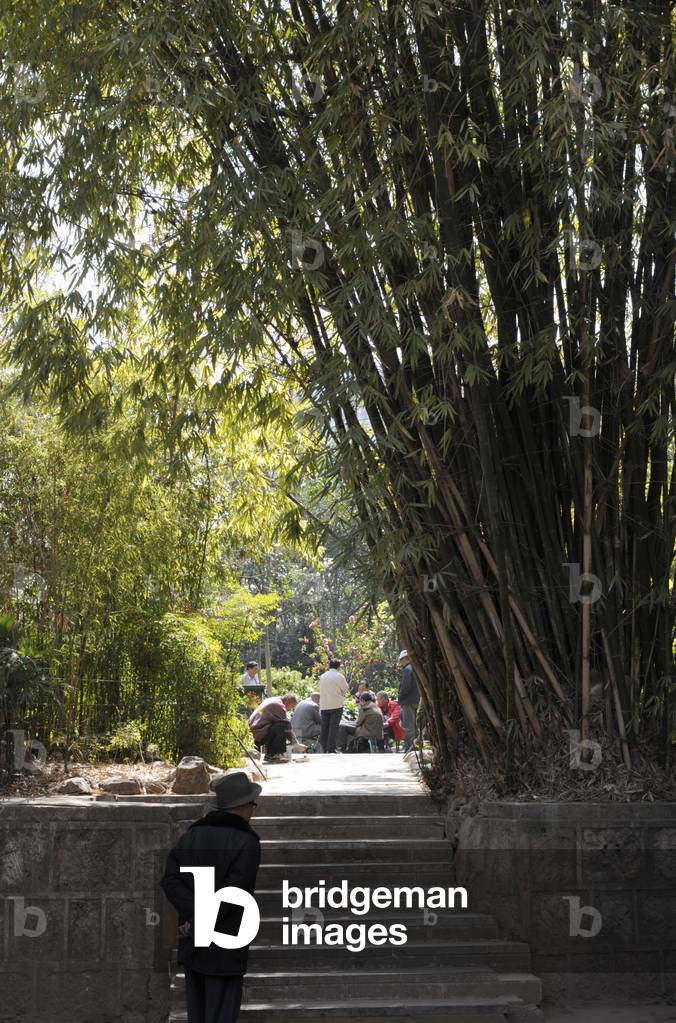 Park in Kunming, Yunnan Province, China (photo)