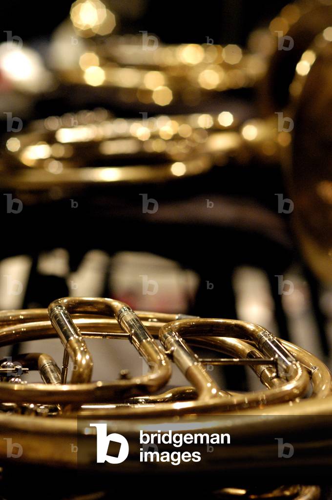 French horn
