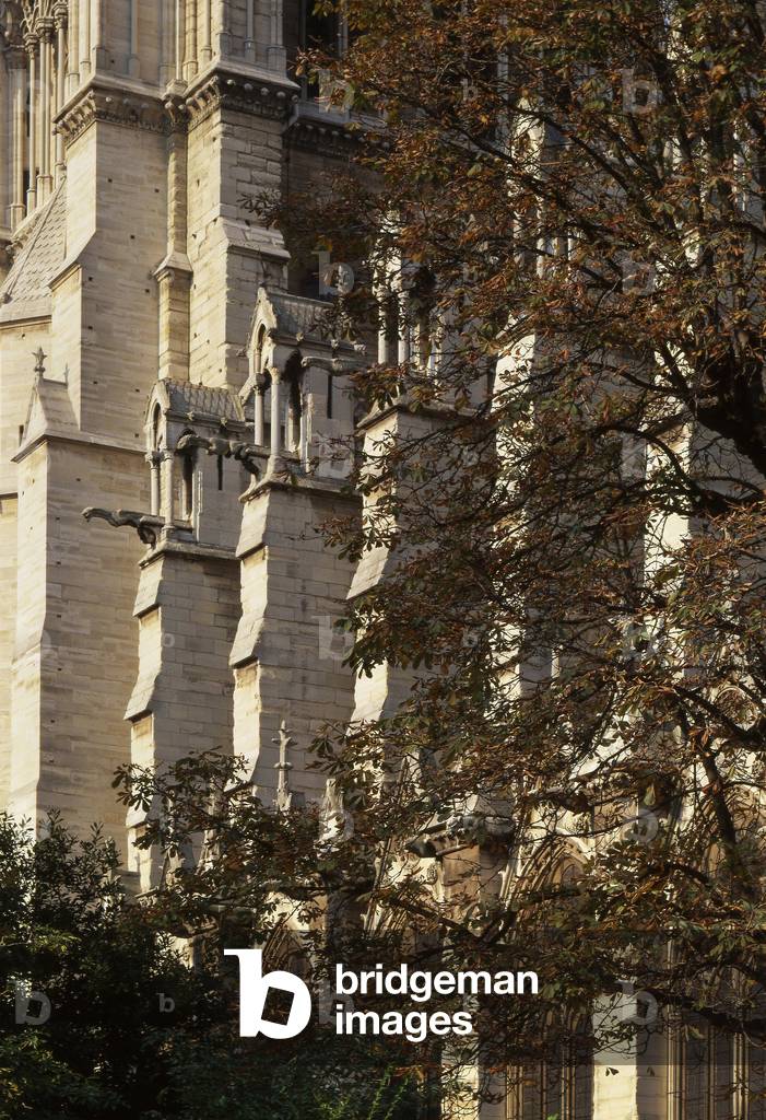 La cathedrale Notre Dame de Paris, Paris 4. Construction from 1160, rehabilitation by Viollet Le Duc, 19th century.